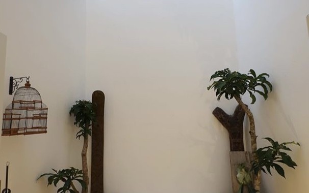 salon&patio salon&patio