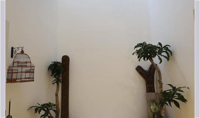 salon&patio salon&patio